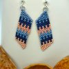 Sparkling Midnight Earrings